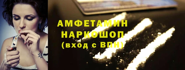 мдпв Бородино