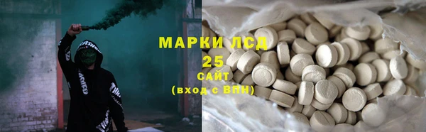 мдпв Бородино