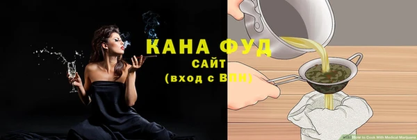 мдпв Бородино
