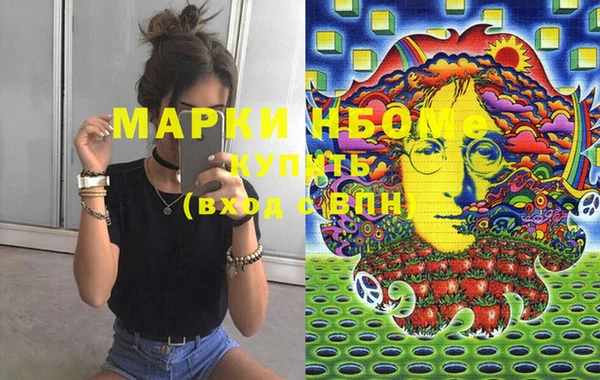 мдпв Бородино