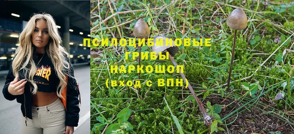 мдпв Бородино