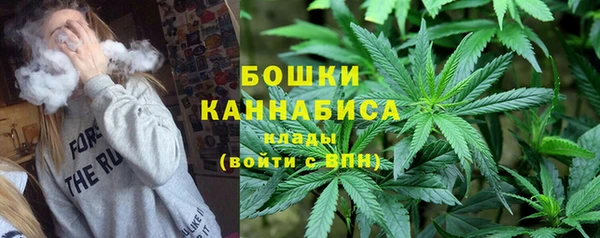 мдпв Богданович