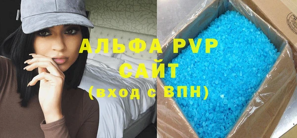 мдпв Бородино