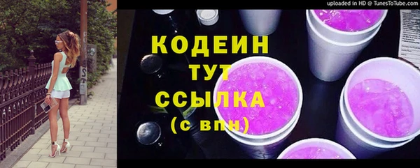 индика Богородицк