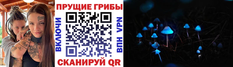 Купить где Павловский Посад Псилоцибиновые грибы ЛСД